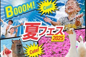 夏は「マザー牧場」で遊ぼう!水遊び&花畑が待ってるよ🌞
