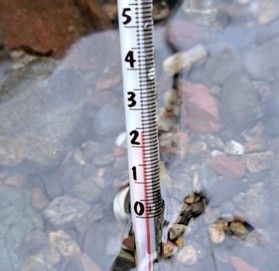 川の水温は?
