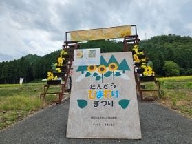 たんとう花公園「ひまわりまつり」