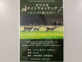 一緒にエゾシカを探しに行きませんか?