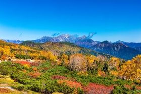 休暇村乗鞍高原周辺の紅葉情報