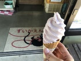 🍦ソフトクリーム巡り旅🍦～part5～