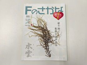 タウン誌「Fのさかな」 64号 届きました。