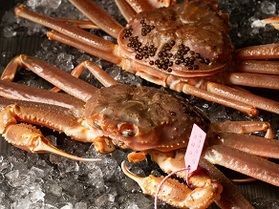 冬のグルメ旅！日本海へかに食べいこう(^_-)-☆