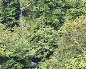 マイナスイオンを浴びる大山滝