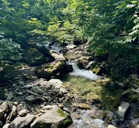 小林の渓流釣行記 ~源流釣行~
