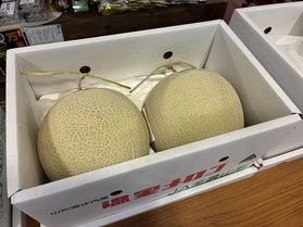 温室メロンも好評！
