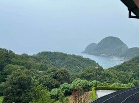 雨上がりの竹野で出会った小さな命