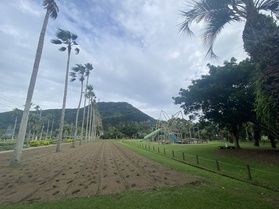オーストラリアの森♪
