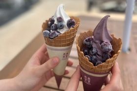 黒姫高原で味わえる<br>最高のブルーベリーソフト🍦