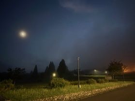 「ほし」じゃなくて「むし」の観察会やりました！