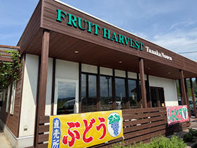 夏・秋限定でオープン♪ぶどうカフェ