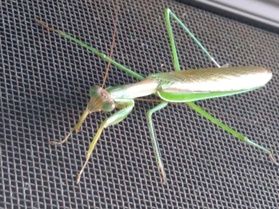 この夏を振り返って‼