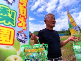 梨フェア始まりました☆彡