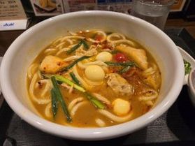 駅ナカ絶品カレーうどん! みかわの郷カルミア店
