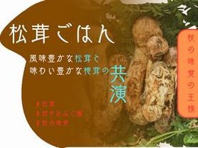 秋の味覚の王様