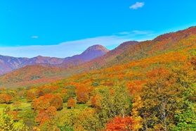 紅葉を楽しむ🍁<br>【秋の笹ヶ峰歩き】