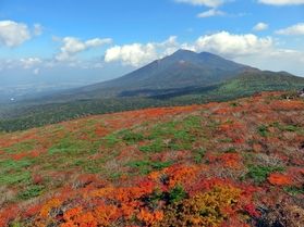 紅葉シーズンの予定はお決まりですか?
