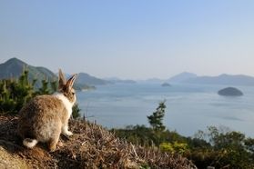 本日9月8日(月)はJR呉線三原~竹原間が代行バス運行です