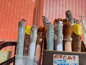 ナマズとたぬき