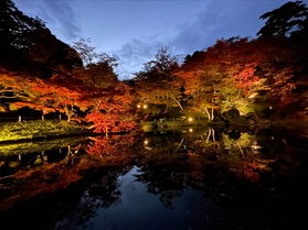 これからの時期に！【紅葉おすすめスポット】