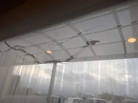 あなたは歩いているの？走っているの？
