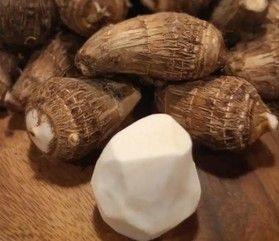 愛媛の秋の味覚【伊予美人】