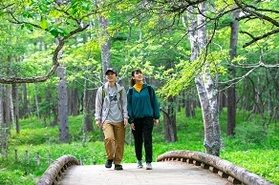 【残り２週間！】奥日光ネイチャーハイキング
