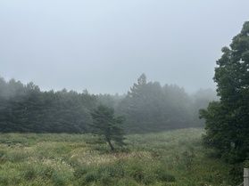 お手軽に冒険者気分⁈霧の野草園を散策✨