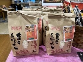 いよいよ新米入荷。サスティナブルなコシヒカリとは?