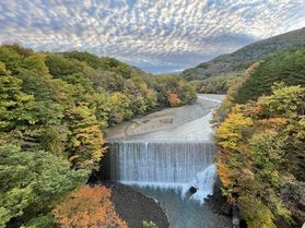 秋と言えば・・・紅葉だね