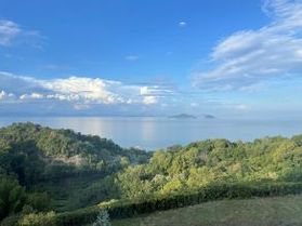 見とれてしまう景色