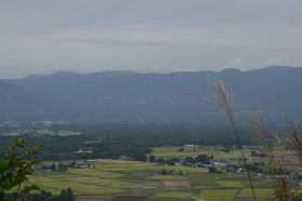 黄金色の風景
