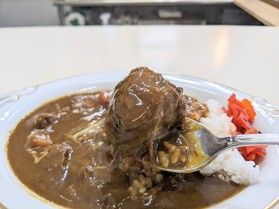 肉が大きいカレー