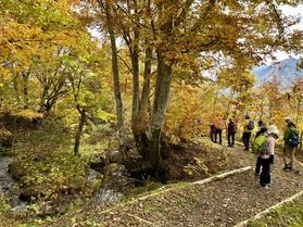 秋の笹ヶ峰歩き旅予約枠増えました🍁