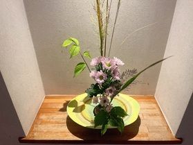 秋のお花でお出迎え🌼