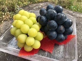 ぶどうを買うなら『長野県』へ