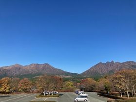 阿蘇周辺の10月・11月紅葉情報