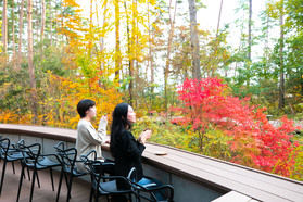 紅葉シーズンのお知らせ🍁