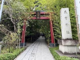 パワーを感じましょう