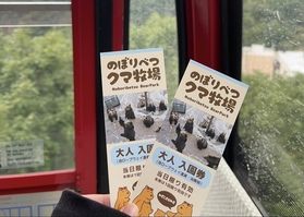 のぼりべつクマ牧場に行ってきました🐻