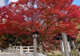 紅葉のオススメスポット土津（はにつ）神社
