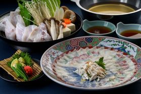 【玄界灘の冬の味覚】ふぐ刺し・ふぐちり付プラン♪