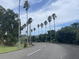 開聞山麓自然公園