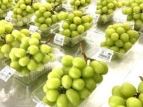 今が一番おいしくてお買い得！長野県の「高級ぶどう」