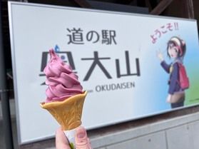 ブルーベリーソフト
