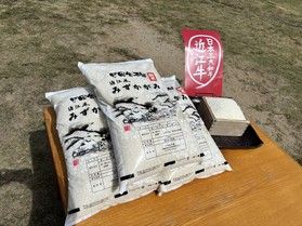 みずかがみ　新米！！
