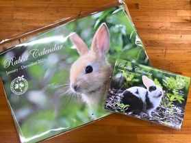 今年もカワイイうさぎのカレンダー付プランが登場♪