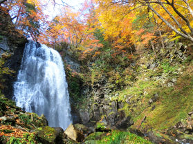 今日から10月!!秋ビュッフェ