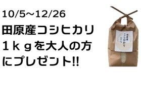 食欲の秋に№2 田原産新米付プラン